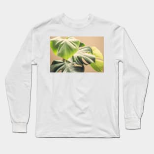 Shades of Green Long Sleeve T-Shirt